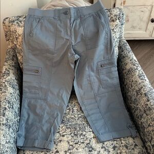 LOFT Slate Blue Cargo Pants